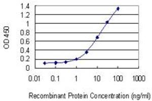 Detection limit for recombinant GST tagged APOC3 is 0. (APOC3 antibody  (AA 21-99))