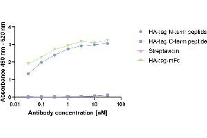 HA-tagged Protein was coated on an ELISA plate at 100 ng. (Recombinant Mouse anti-Rabbit IgG Antibody (HRP))