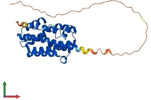 AlphaFold protein structure predicition of Mouse Recombinant Hmox1 Protein, UniprotID P14901 (HMOX1 Protein (AA 1-289) (His tag))