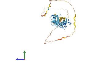 AlphaFold protein structure predicition of Mouse Recombinant Fblim1 Protein, UniprotID Q71FD7 (FBLIM1 Protein (AA 1-375) (His tag))