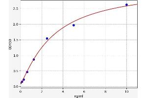 SLC29A1 ELISA Kit