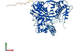 AlphaFold protein structure predicition of Human Recombinant GK5 Protein, UniprotID Q6ZS86 (GK5 Protein (AA 1-529) (His tag))