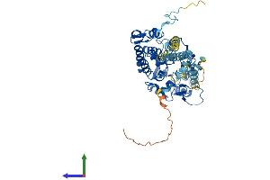 Protein Structure (PS) image for Protein Phosphatase 3, Catalytic Subunit, gamma Isozyme (PPP3CC) (AA 1-512) protein (His tag) (ABIN7551002)