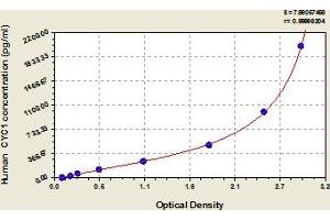 Cytochrome C1 ELISA Kit