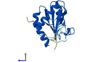 Protein Structure (PS) image for Thioredoxin-Like 4A (TXNL4A) (AA 1-142) protein (His tag) (ABIN7544889)