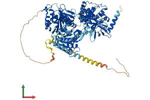 Protein Structure (PS) image for DEAH (Asp-Glu-Ala-His) Box Polypeptide 15 (DHX15) (AA 1-795) protein (His tag) (ABIN7553704)