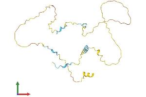 Protein Structure (PS) image for Tumor Protein P53 Inducible Nuclear Protein 1 (TP53INP1) (AA 1-240) protein (His tag) (ABIN7555694)
