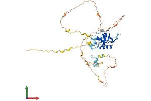 AlphaFold protein structure predicition of Human Recombinant FOXH1 Protein, UniprotID O75593 (FOXH1 Protein (AA 1-365) (His tag))