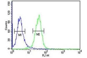 PGP antibody flow cytometric analysis of K562 cells (green) compared to a negative control (blue). (PGP antibody  (AA 33-62))