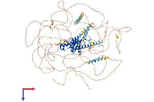 SECIS Binding Protein 2-Like (SECISBP2L) (AA 1-1086) protein (His tag)