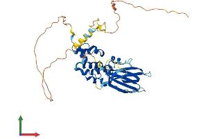 AlphaFold protein structure predicition of Human Recombinant TMEM183A Protein, UniprotID Q8IXX5