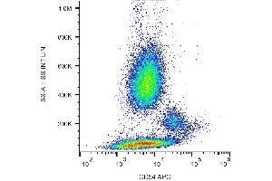 Surface staining of human peripheral blood with anti-CD54 (1H4) APC. (ICAM1 antibody  (APC))