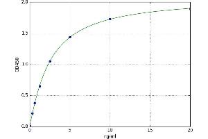 S100 Calcium Binding Protein A16 (S100A16) ELISA Kit