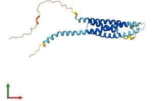 Protein Structure (PS) image for Membrane-Spanning 4-Domains, Subfamily A, Member 2 (Fc Fragment of IgE, High Affinity I, Receptor For, beta Polypeptide) (MS4A2) (AA 1-235) protein (His tag) (ABIN7562948)