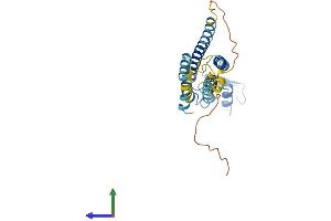 Protein Structure (PS) image for Gap Junction Protein, beta 3, 31kDa (GJB3) (AA 1-270) protein (His tag) (ABIN7546943)