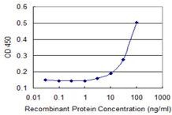 MOSPD3 antibody  (AA 43-141)