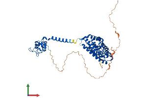 Protein Structure (PS) image for Thyroid Hormone Receptor, beta (THRB) (AA 1-461) protein (His tag) (ABIN7544374)