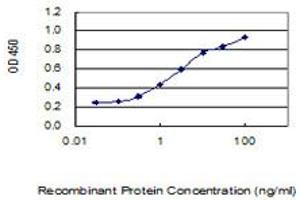 Detection limit for recombinant GST tagged TCEAL3 is 0. (TCEAL3 antibody  (AA 1-200))