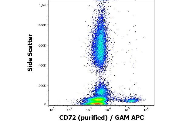 CD72 antibody