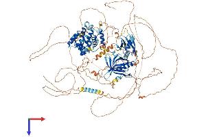 AlphaFold protein structure predicition of Mouse Recombinant Arhgap20 Protein, UniprotID Q6IFT4