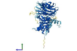 AlphaFold protein structure predicition of Mouse Recombinant Det1 Protein, UniprotID Q9D0A0 (DET1 Protein (DET1) (AA 1-550) (His tag))