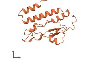 AlphaFold protein structure predicition of Human Recombinant MDS2 Protein, UniprotID Q8NDY4 (MDS2 Protein (AA 1-140) (His tag))