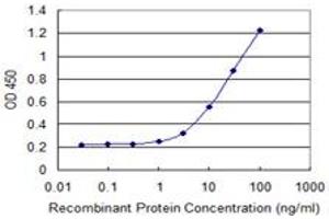 Detection limit for recombinant GST tagged SEPHS1 is 0. (SEPHS1 antibody  (AA 1-96))