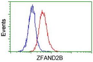 Image no. 3 for anti-Zinc Finger, AN1-Type Domain 2B (ZFAND2B) antibody (ABIN1501806) (ZFAND2B antibody)