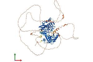 AlphaFold protein structure predicition of Mouse Recombinant Haspin Protein, UniprotID Q9Z0R0 (GSG2 Protein (AA 1-754) (His tag))