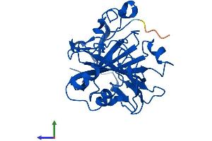 AlphaFold protein structure predicition of Human Recombinant CA7 Protein, UniprotID P43166