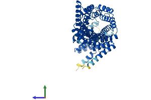 Protein Structure (PS) image for Interferon-Induced Protein with Tetratricopeptide Repeats 1 (IFIT1) (AA 1-478) protein (His tag) (ABIN7554144)