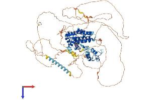 Androgen Receptor Protein (AR) (AA 1-920) (His tag)