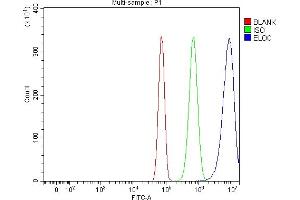 Flow Cytometry analysis of RH35 cells using anti-Elongin-C/ELOC antibody (ABIN7598951).