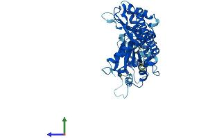 AlphaFold protein structure predicition of Mouse Recombinant Babam2 Protein, UniprotID Q8K3W0 (BRE Protein (AA 1-383) (His tag))