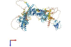 AlphaFold protein structure predicition of Human Recombinant HERC2P3 Protein, UniprotID Q9BVR0 (HERC2P3 Protein (AA 1-1158) (His tag))