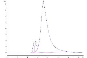 Size-exclusion chromatography-High Pressure Liquid Chromatography (SEC-HPLC) image for Butyrophilin, Subfamily 3, Member A2 (BTN3A2) (AA 30-248) protein (His-Avi Tag,Biotin) (ABIN7273981)