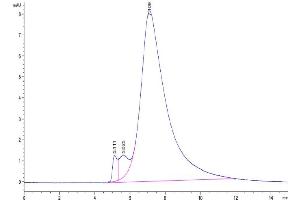 The purity of Biotinylated Human BTN3A2 is greater than 93 % as determined by SEC-HPLC. (BTN3A2 Protein (AA 30-248) (His-Avi Tag,Biotin))