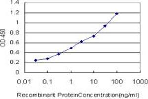 Detection limit for recombinant GST tagged MPG is approximately 0. (MPG antibody  (AA 1-90))