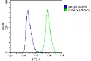 Overlay histogram showing A431 cells stained with (ABIN6243401 and ABIN6578787)(green line). (NSFL1C antibody  (AA 37-71))