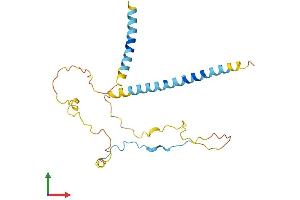 Protein Structure (PS) image for Estrogen Receptor Binding Site Associated, Antigen, 9 (EBAG9) (AA 1-213) protein (His tag) (ABIN7560857)