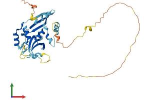 AlphaFold protein structure predicition of Human Recombinant TPGS2 Protein, UniprotID Q68CL5