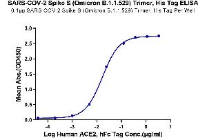 Immobilized SARS-COV-2 Spike S (Omicron B. (SARS-CoV-2 Spike Protein (B.1.1.529 - Omicron, Trimer) (His tag))
