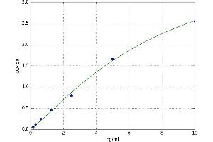 Maternal Embryonic Leucine Zipper Kinase (MELK) ELISA Kit