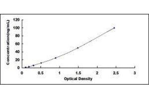 Potassium Inwardly-Rectifying Channel, Subfamily J, Member 10 (KCNJ10) ELISA Kit
