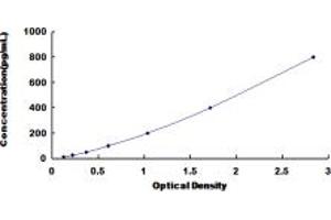 CD58 ELISA Kit