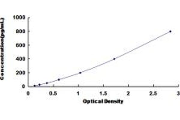 CD58 ELISA Kit