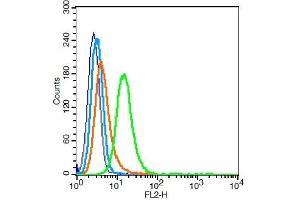 Hela cells probed with Integrin Alpha V + Beta 6 Antibody, Unconjugated  at 1:100 for 30 minutes followed by incubation with a conjugated secondary (PE Conjugated) (green) for 30 minutes compared to control cells (blue), secondary only (light blue) and isotype control (orange). (ITGAV/ITGB6 antibody)