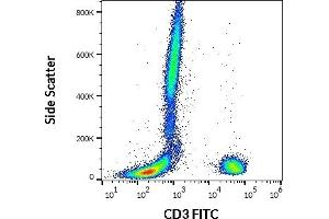 Flow cytometry surface staining pattern of human peripheral whole blood stained using anti-human CD3 (UCHT1) FITC antibody (20 μL reagent / 100 μL of peripheral whole blood). (CD3 antibody  (FITC))