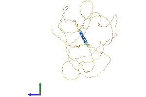 AlphaFold protein structure predicition of Mouse Recombinant Hemgn Protein, UniprotID Q9ERZ0 (HEMGN Protein (AA 1-503) (His tag))