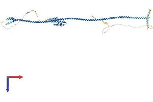 AlphaFold protein structure predicition of Mouse Recombinant Ccdc157 Protein, UniprotID Q5SPX1 (CCDC157 Protein (AA 1-718) (His tag))